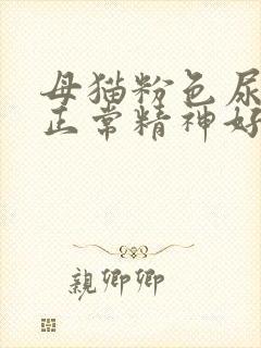 母猫粉色尿吃喝正常精神好