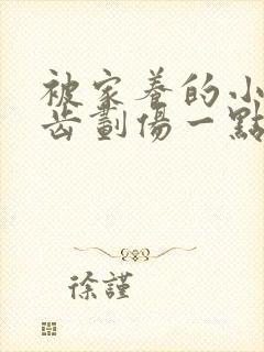 被家养的小狗牙齿划伤一点皮出血有事吗