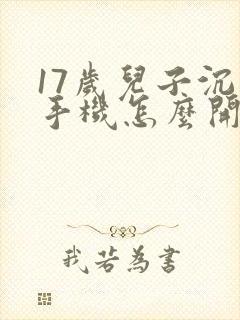 17岁儿子沉迷手机怎么开导