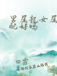 男属龙女属蛇婚配好吗