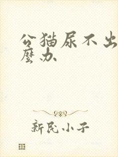 公猫尿不出尿怎么办