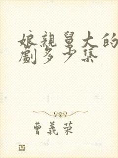 娘亲舅大的电视剧多少集