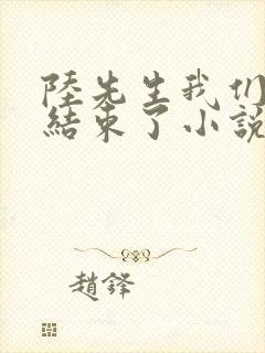 陆先生我们终于结束了小说免费阅读