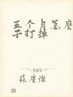 五个月怎么把孩子打掉