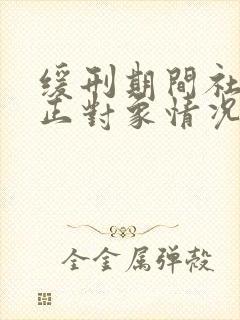 缓刑期间社区矫正对象情况汇报