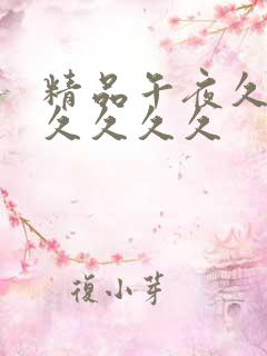 精品午夜久久久久久久久