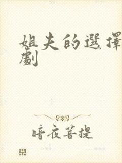 姐夫的选择 韩剧