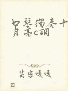 口琴独奏十五的月亮c调