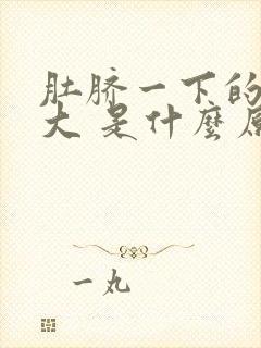 肚脐一下的肚子大 是什么原因