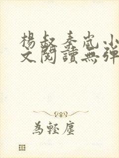 杨叔秦岚小说全文阅读无弹窗