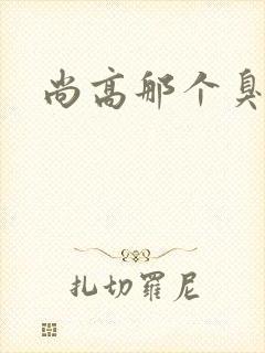 尚高那个臭小子