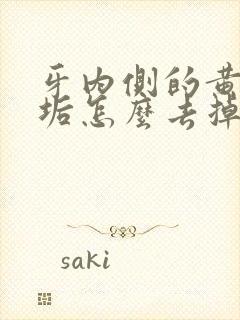 牙内侧的黄黑牙垢怎么去掉