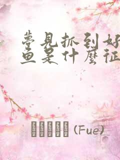 梦见抓到好大的鱼是什么征兆