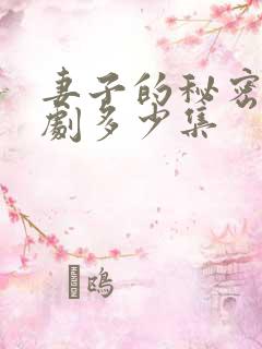 妻子的秘密电视剧多少集