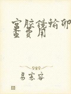 宫腔镜输卵管检查费用