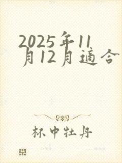 2025年11月12月适合结婚的日子
