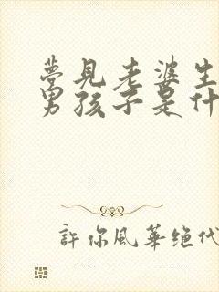 梦见老婆生了个男孩子是什么征兆