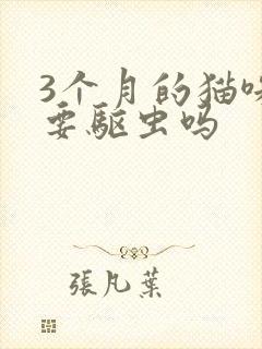 3个月的猫咪需要驱虫吗