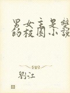 男女主是双校霸的校园小说