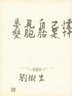 梦见自己怀孕生双胞胎是什么意思