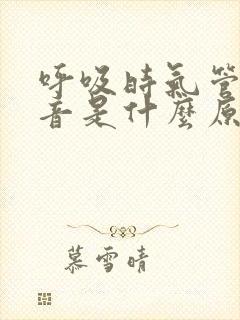 呼吸时气管有鸣音是什么原因