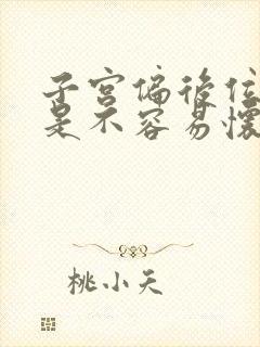 子宫偏后位是不是不容易怀孕