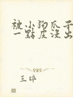 被小狗爪子划伤一点皮没出血需要打针吗