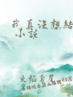 我真没想结婚啊 小说