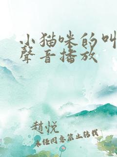 小猫咪的叫声的声音播放