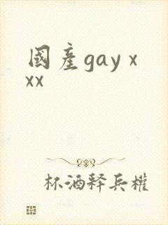国产gay xxx