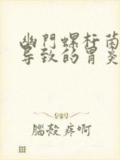 幽门螺杆菌感染导致的胃炎