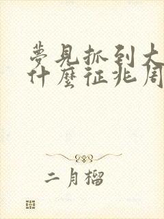 梦见抓到大鱼是什么征兆周公解梦