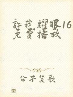 许我耀眼16集免费播放