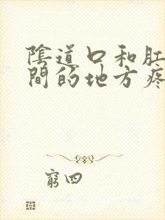 阴道口和肛门之间的地方疼