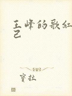 王峰的歌红颜知己