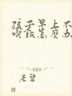 孩子早上不好好吃饭怎么办