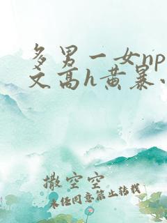 多男一女np辣文高h黄暴小说