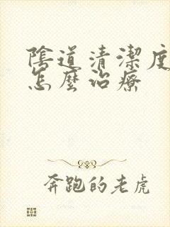 阴道清洁度2度怎么治疗