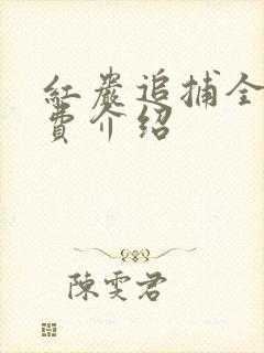 红岩追捕全集免费介绍