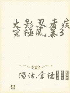 火影忍者疾风传究极风暴3