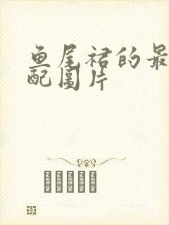 鱼尾裙的最佳搭配图片