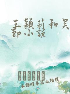 王颖莉和吴刚章节小说