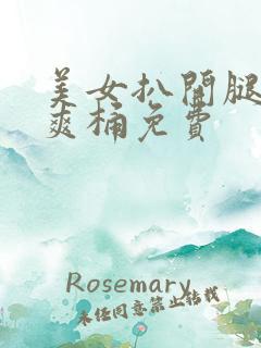 美女扒开腿男人爽桶免费