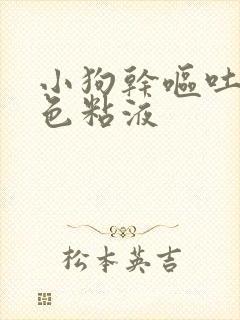 小狗干呕吐出白色粘液