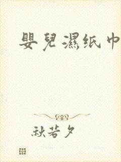 婴儿湿纸巾品牌