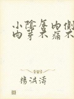 小阴唇内侧有小肉芽不痛不痒