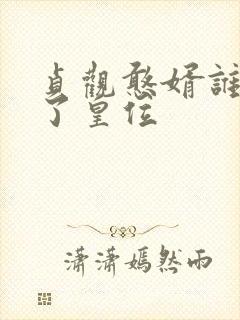 贞观憨婿谁继承了皇位