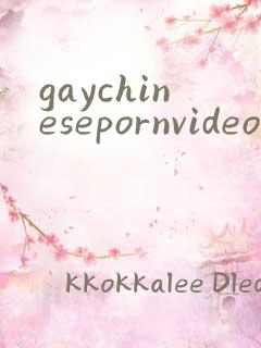 gaychinesepornvideos