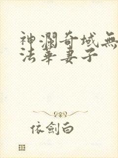 神澜奇域无双珠法华妻子