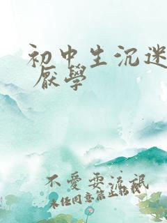 初中生沉迷游戏 厌学